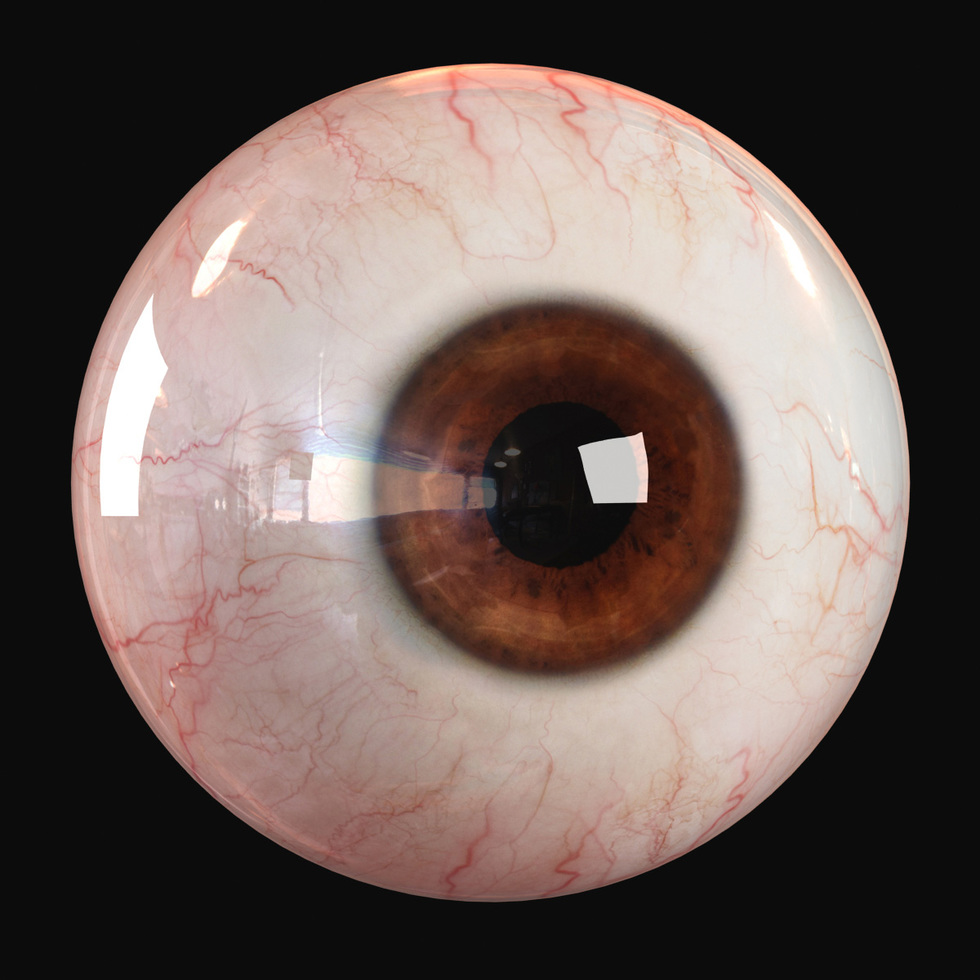 3d realistic human eyeball render, brown eye color