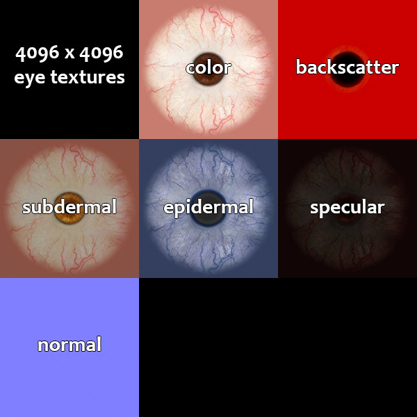 eye textures, color, backscatter, subdermal, epidermal, specular, normal