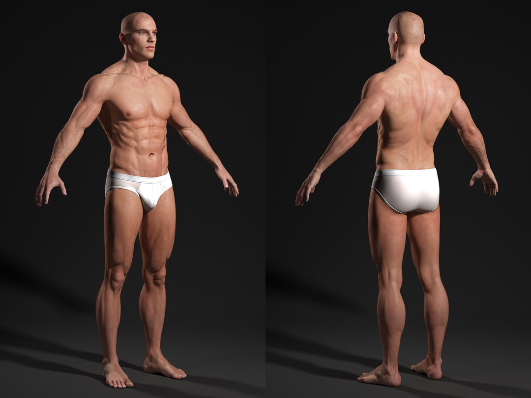 3d male body t-pose