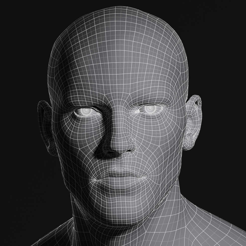 3d male head wireframe