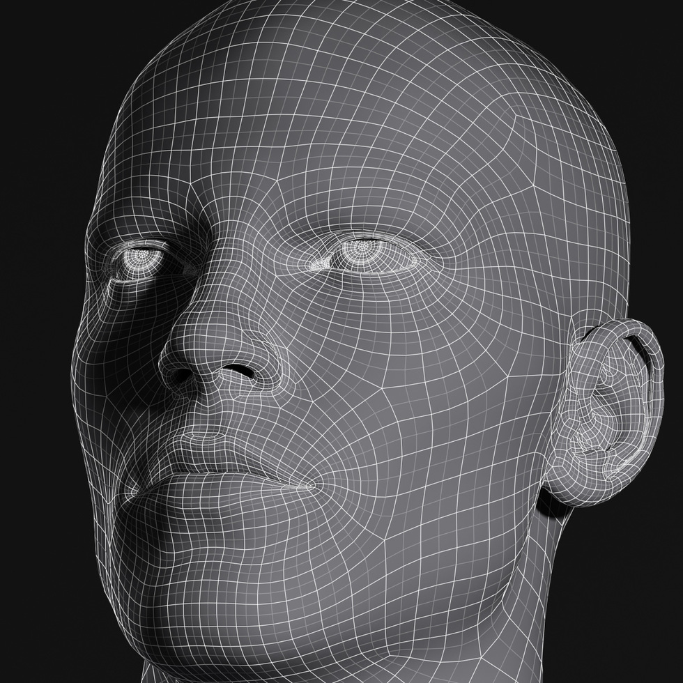 3d head wireframe
