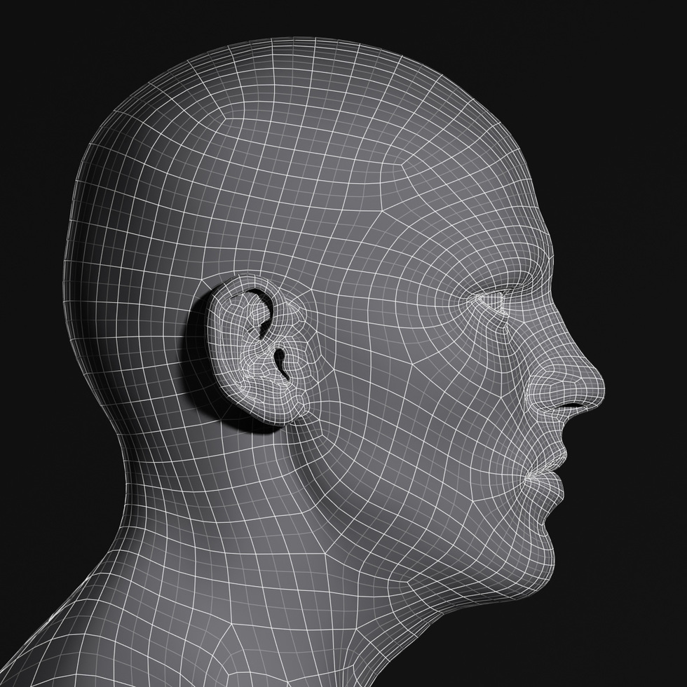 3d head wireframe