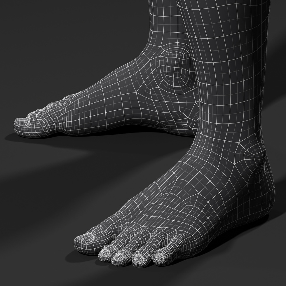 3d foot wireframe