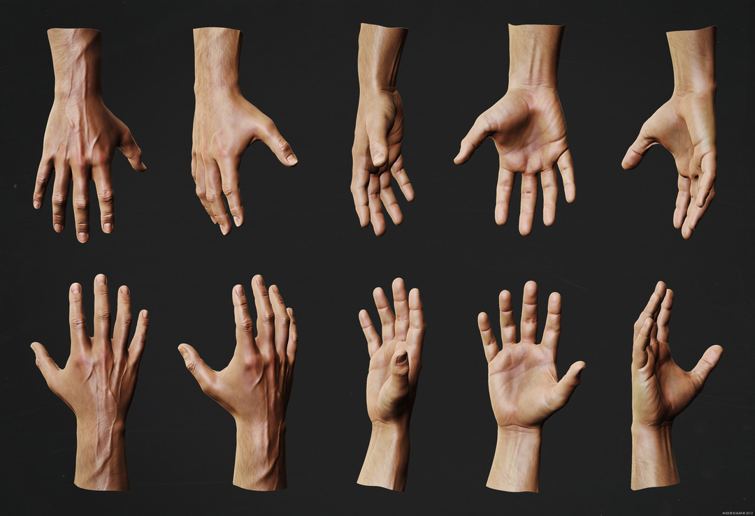 Andor Kollar Male Hand Anatomy Study in ZBrush