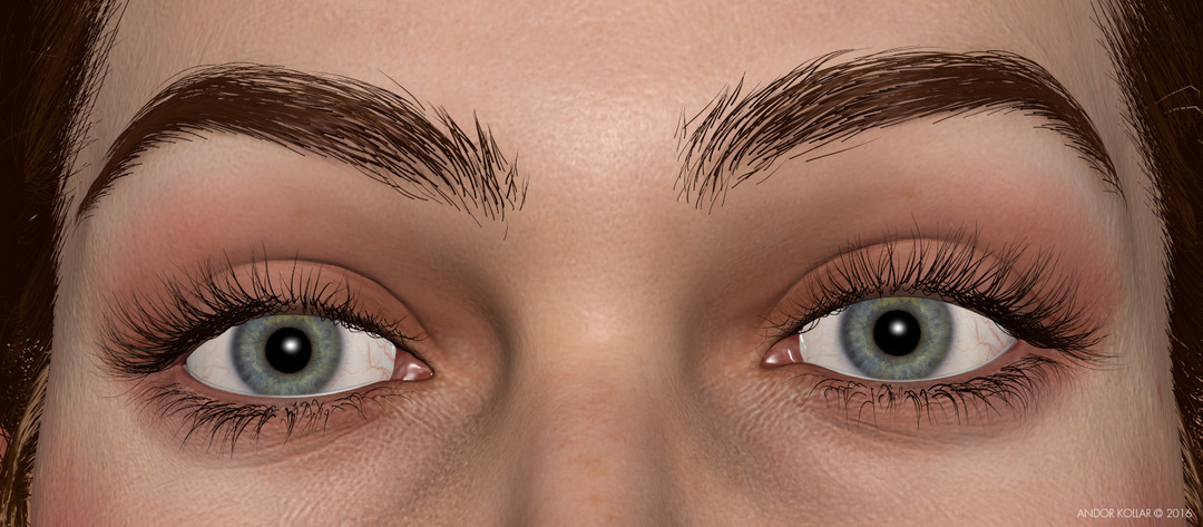 Woman girl 3d eyebrows and eyelashes in Maya with XGen