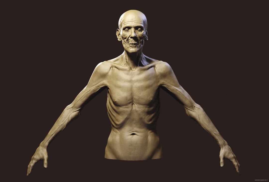 Undead Skinny Anatomy Zombie ZBrush Keyshot 