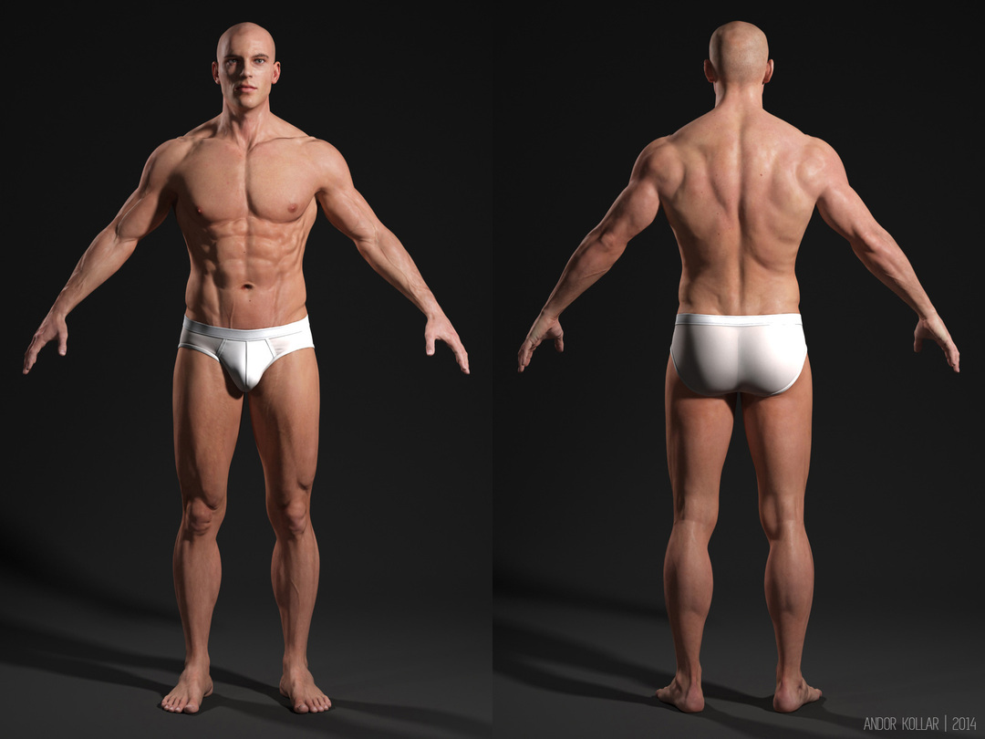 Andor Kollar 3d realistic perfect male body 