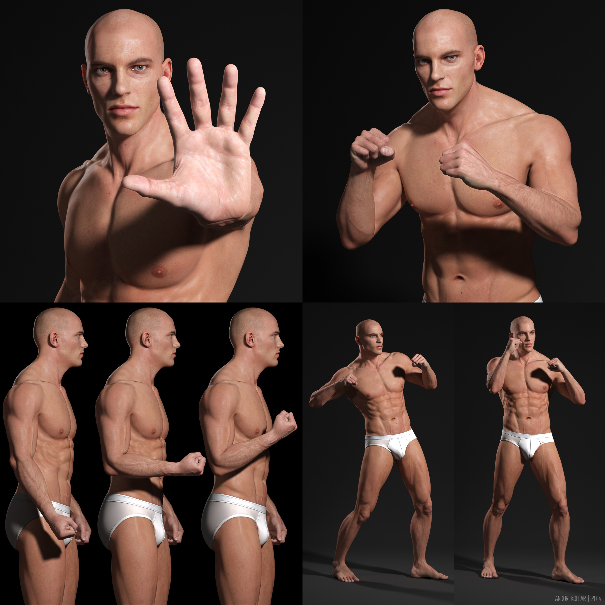 Andor Kollar 3d realistic male body