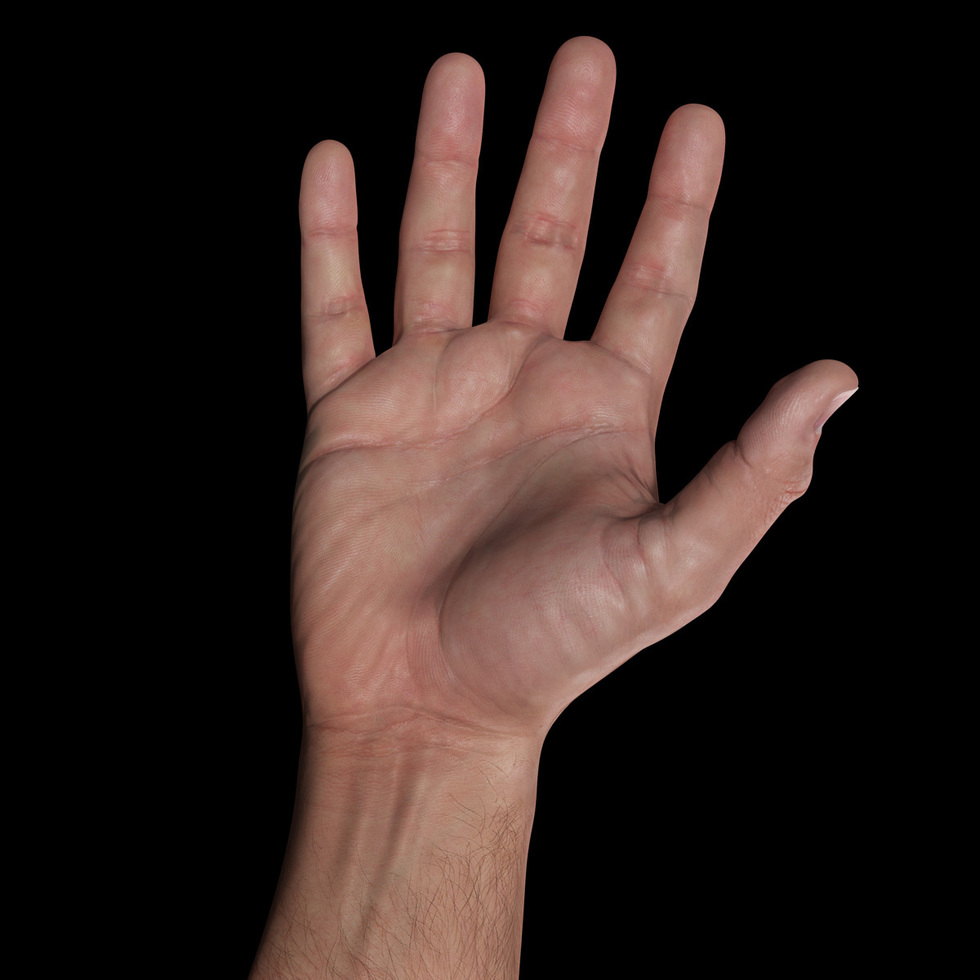 3d male hand palm sss render