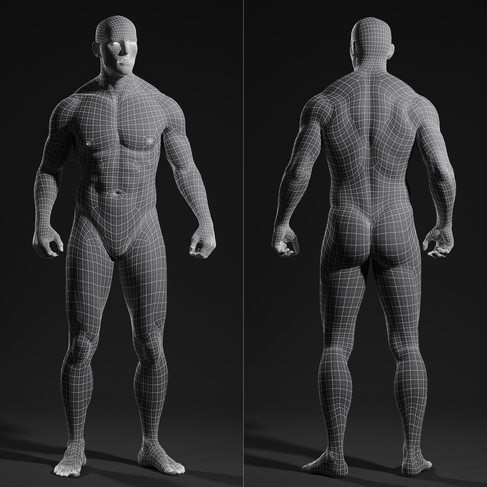 3d male body wireframe