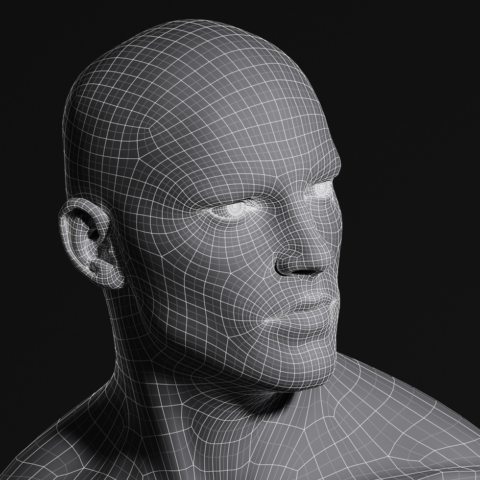 3d male head wireframe