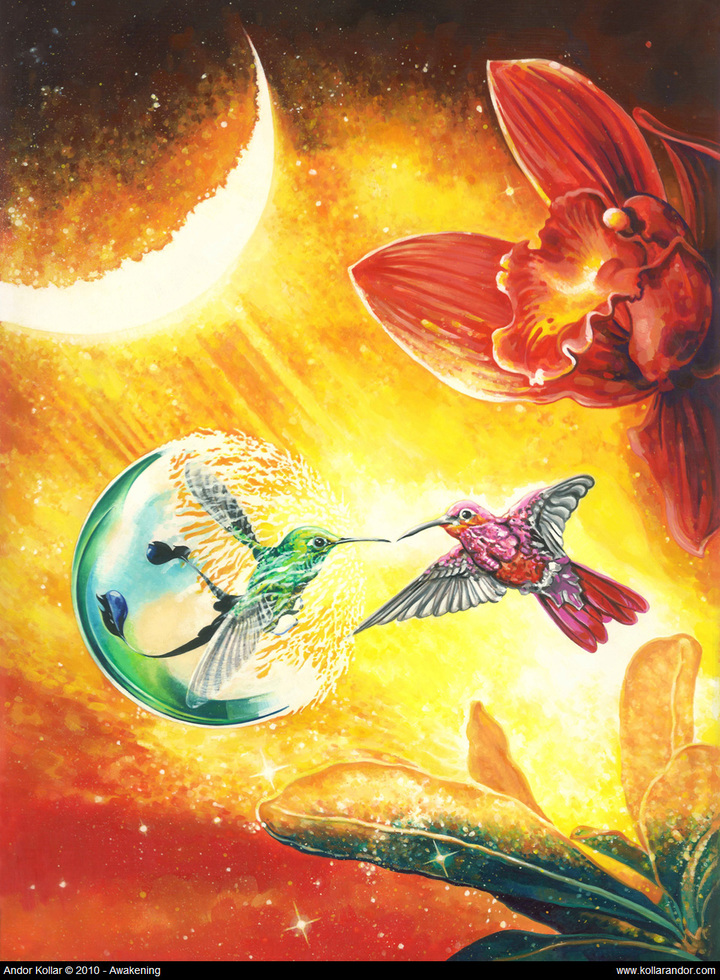 Andor Kollar, Awakening painting, Two hummingbirds are kissing, pink hummingbird is flying, green hummingbird in a bubble, an orhich and the moon in the night background
