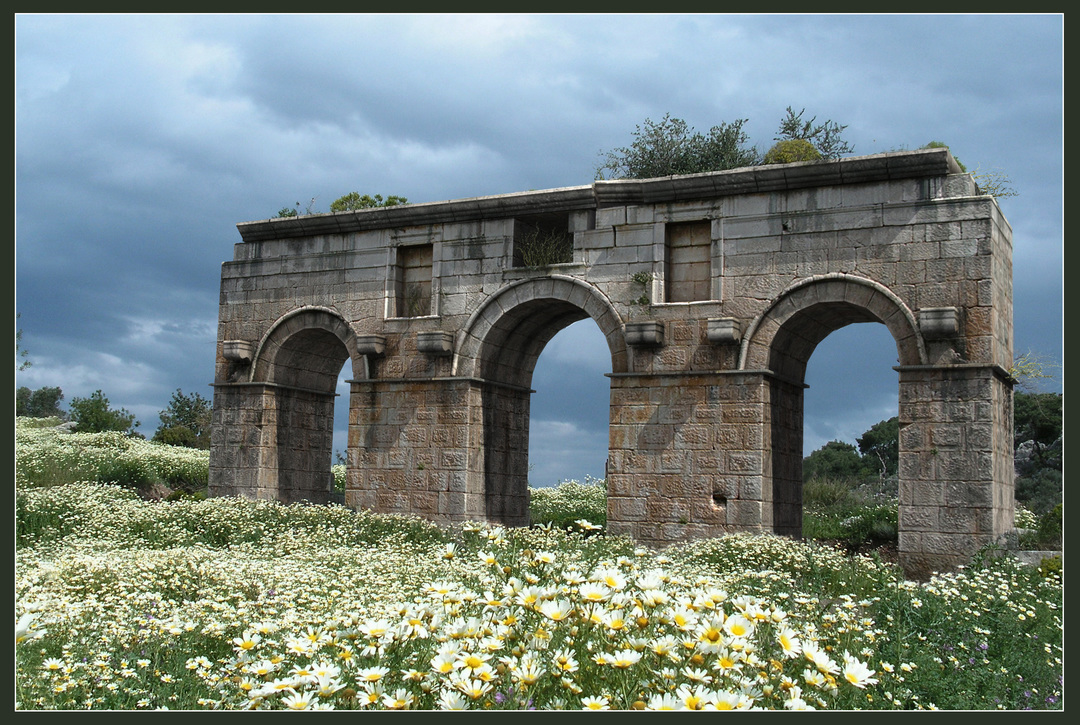 3d ancient ruin gate in the flower field