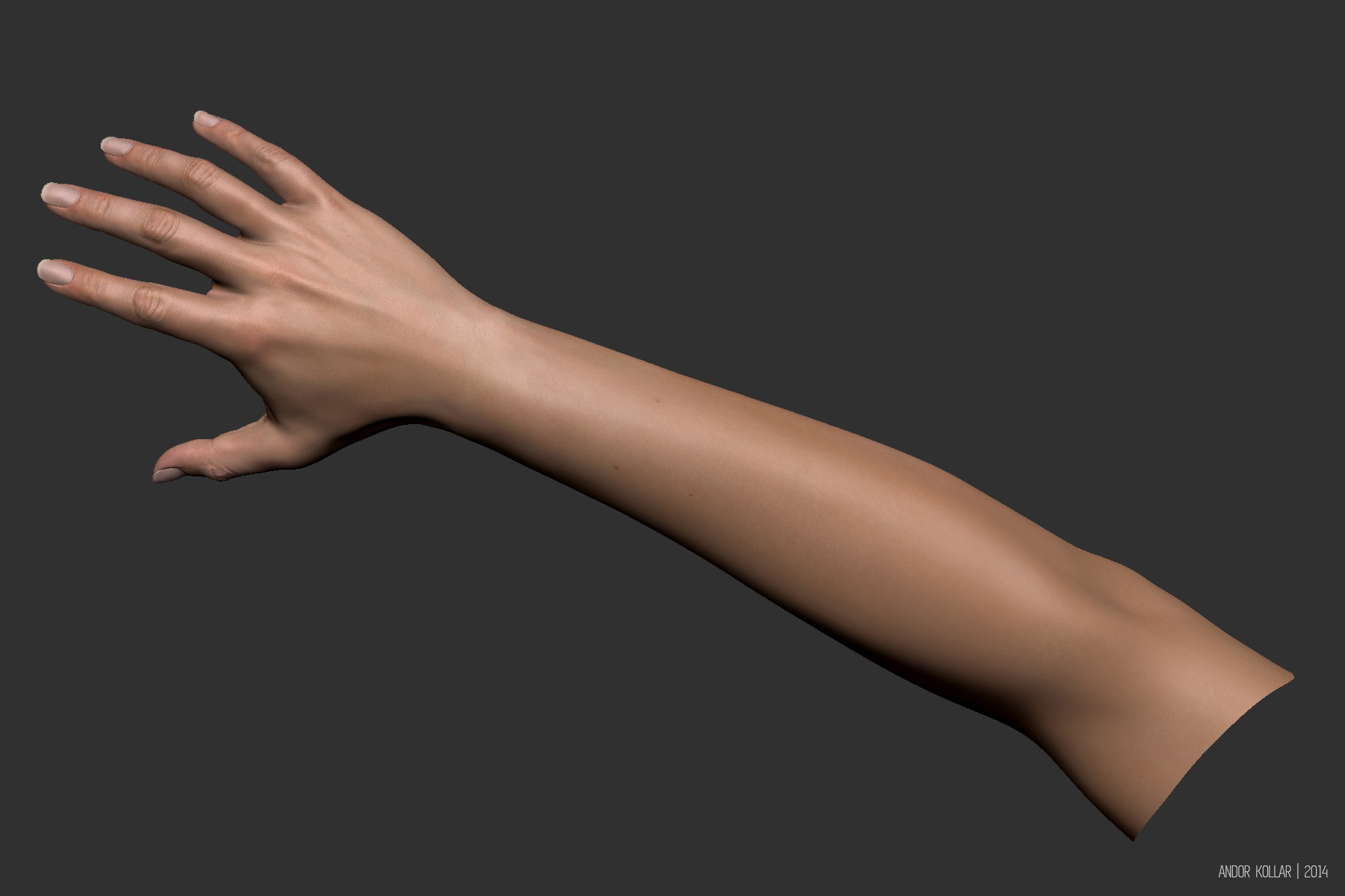 Рука референс 3д. Рука 3д модель. Рука человека. Рука полностью. Три д руки