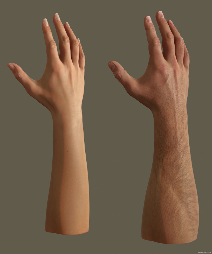 Female and male arms with light skin