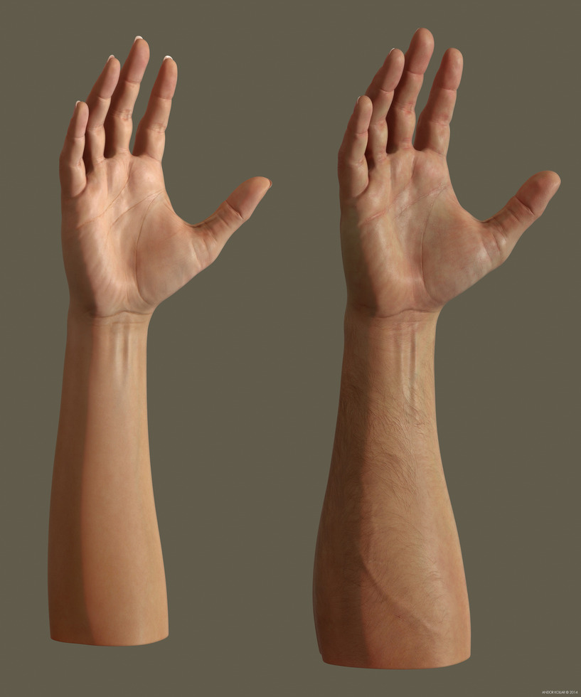 Female and male arms with light skin