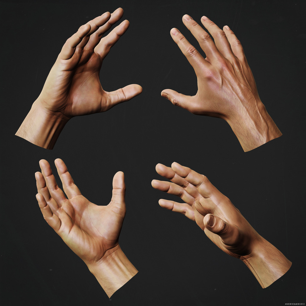 Andor Kollar Hand Anatomy Study in ZBrush