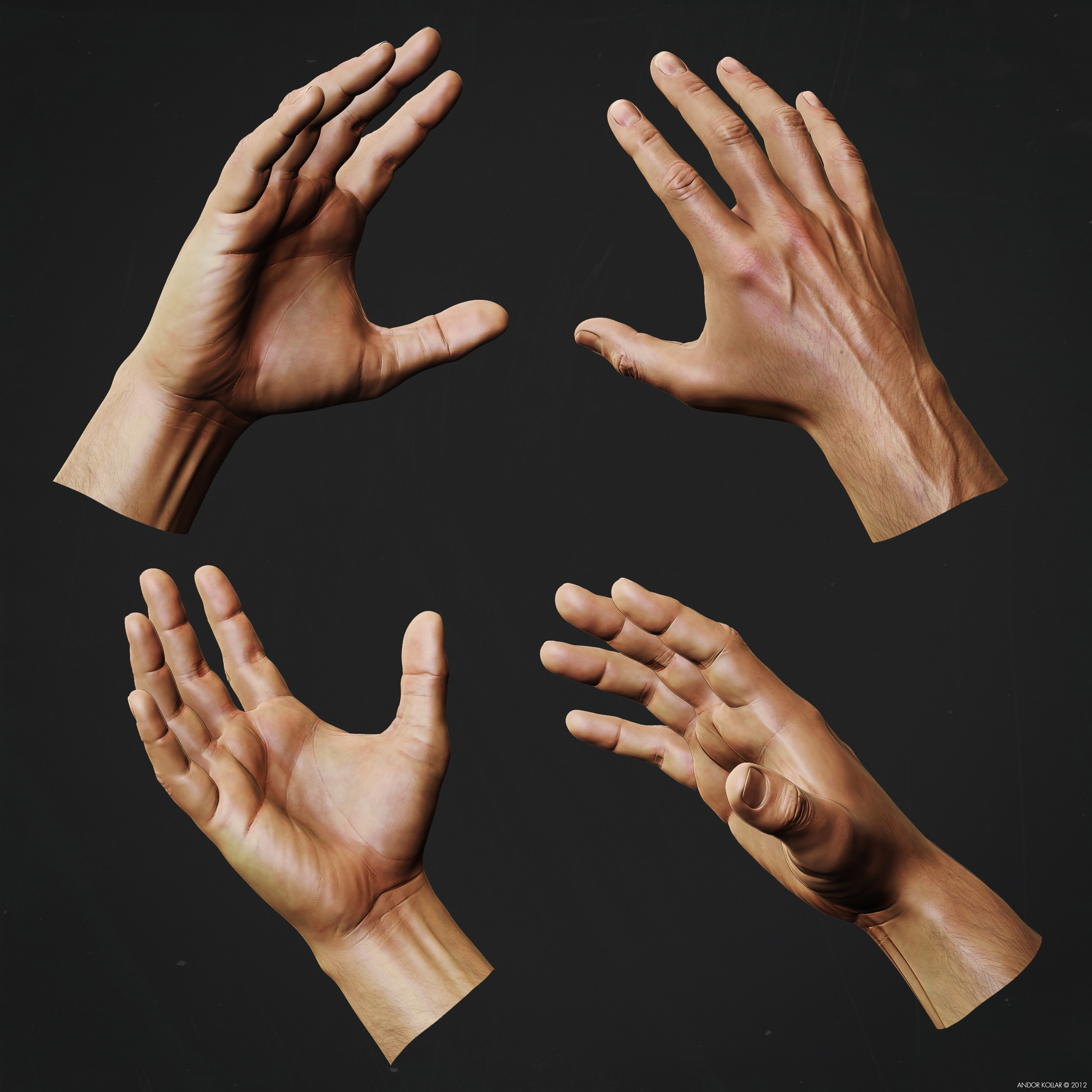 hands study zbrush
