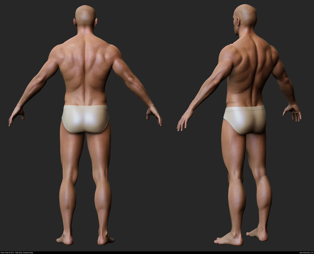 Andor Kollar Realistic Male Body in ZBrush