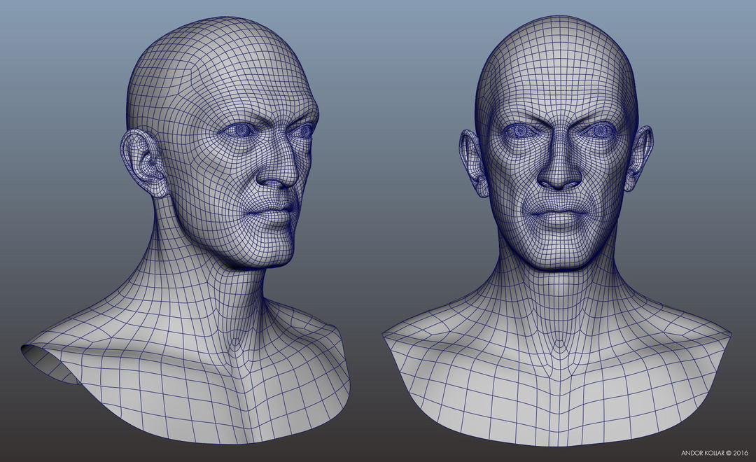 3d face head geometry