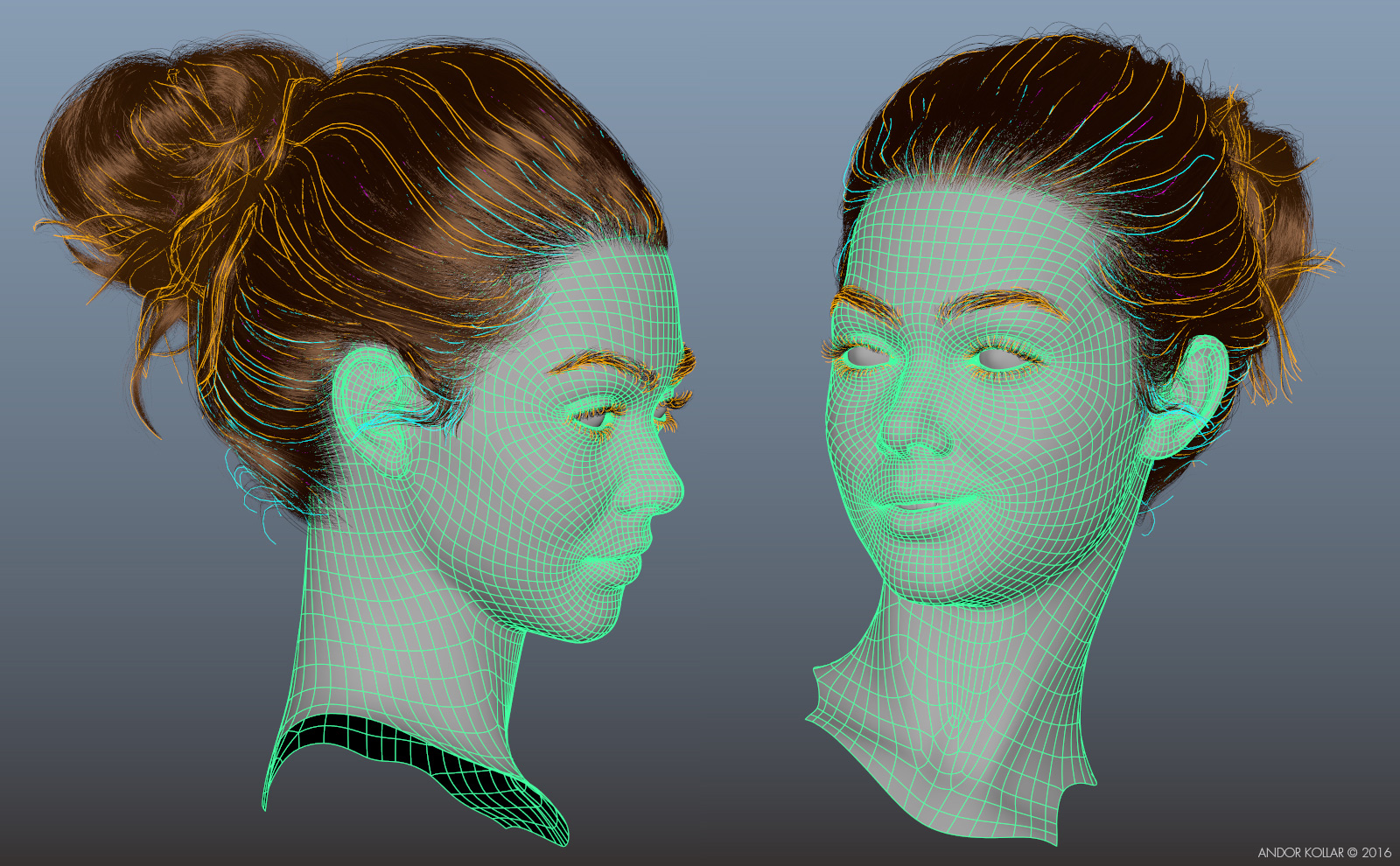 Female head wireframe in Maya, XGen bun hair, eyebrows, eyelashes and guides