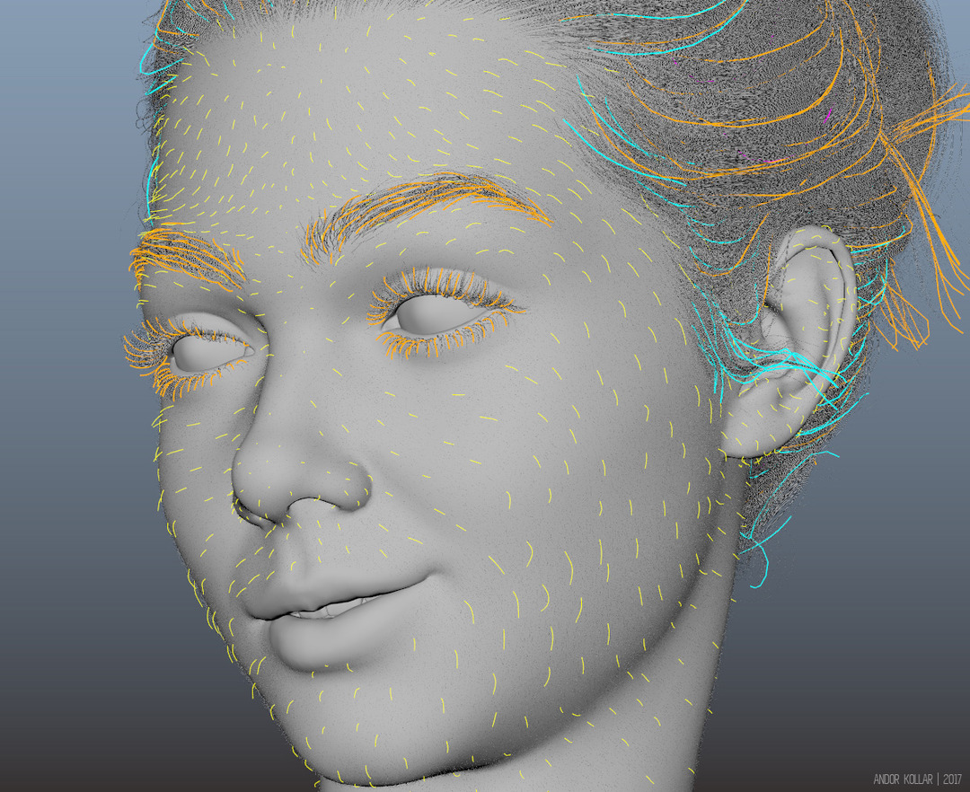 3d gril face in Maya with XGen guide for hair, eyelahses, eyebrows and peach fuzz