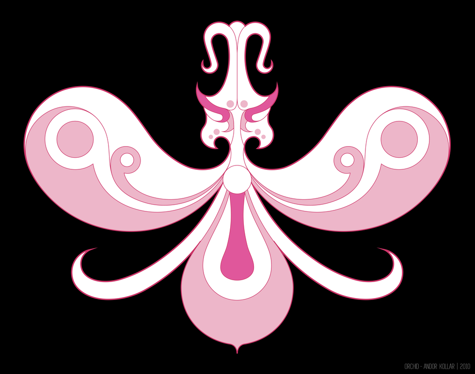 Orchid flower head design, pink white, vector graphic, Andor Kollar