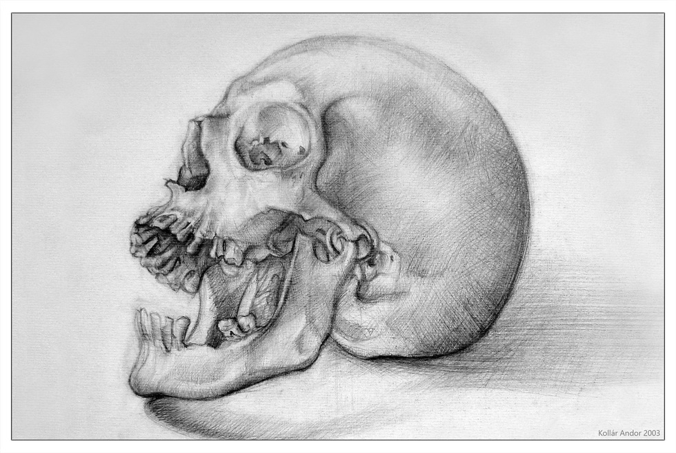 Skull drawing by pencil